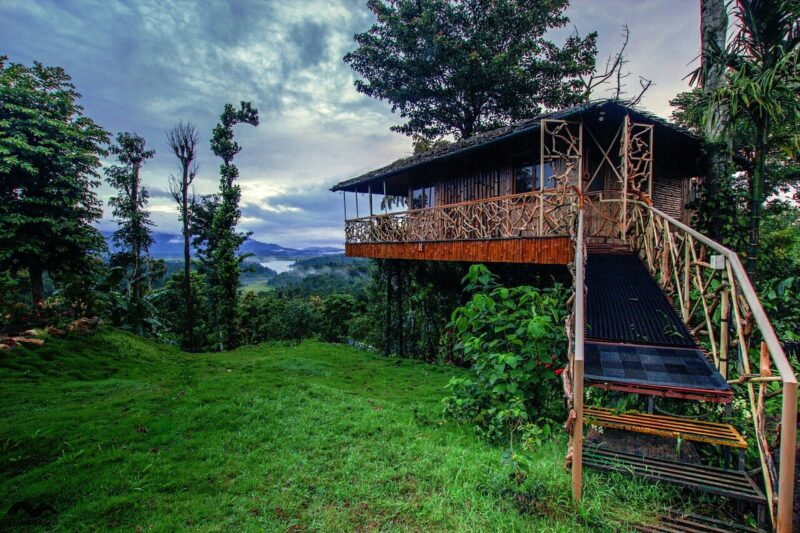 Treehouse at Amaryllis homestay in Wayanad