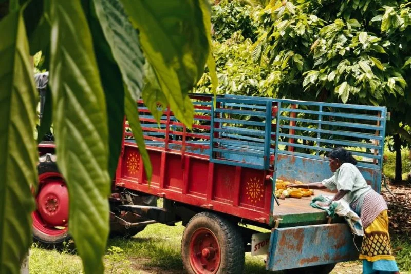 Organic Farm Tours