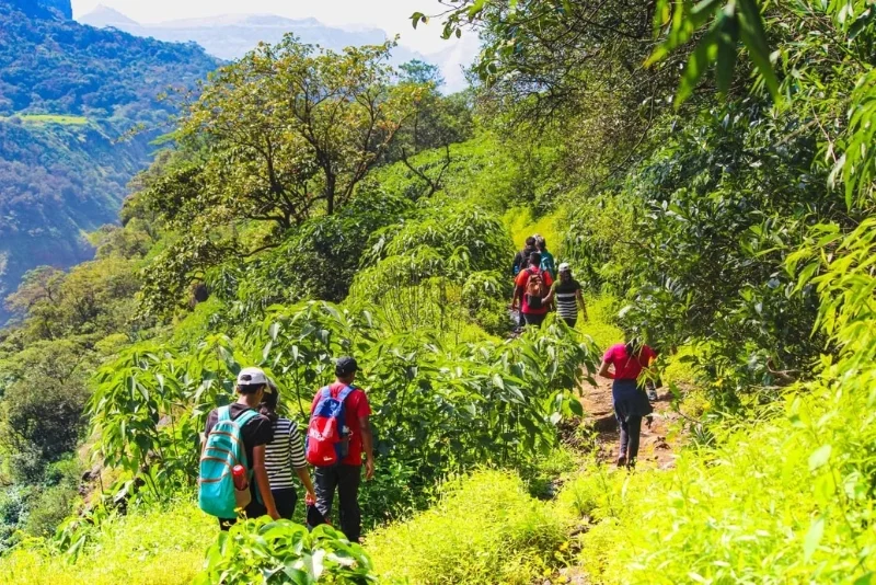 Andharban Forest Trek