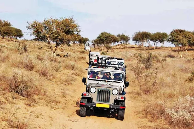 Bishnoi Village Safari by Jeep