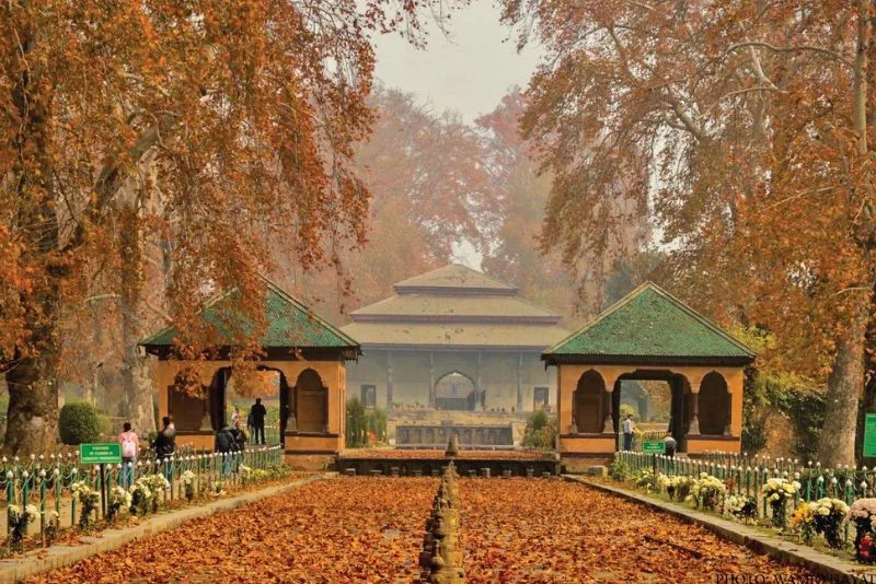 Kashmir Autumn