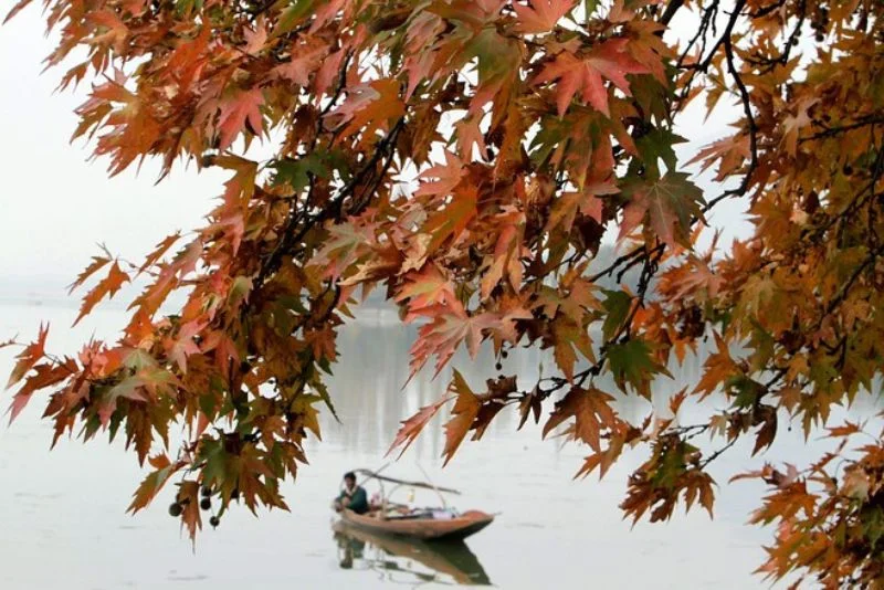 Kashmir Autumn