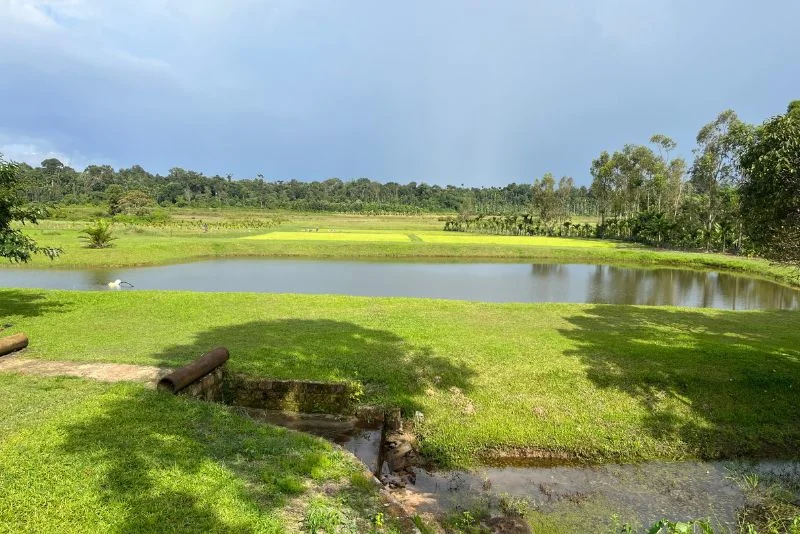 Chengappa Estate