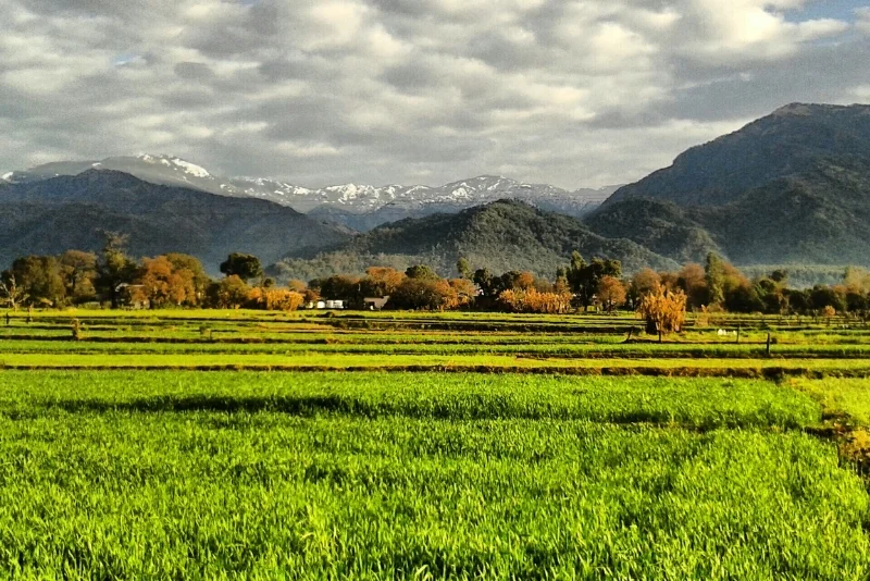 Foothills Himalaya